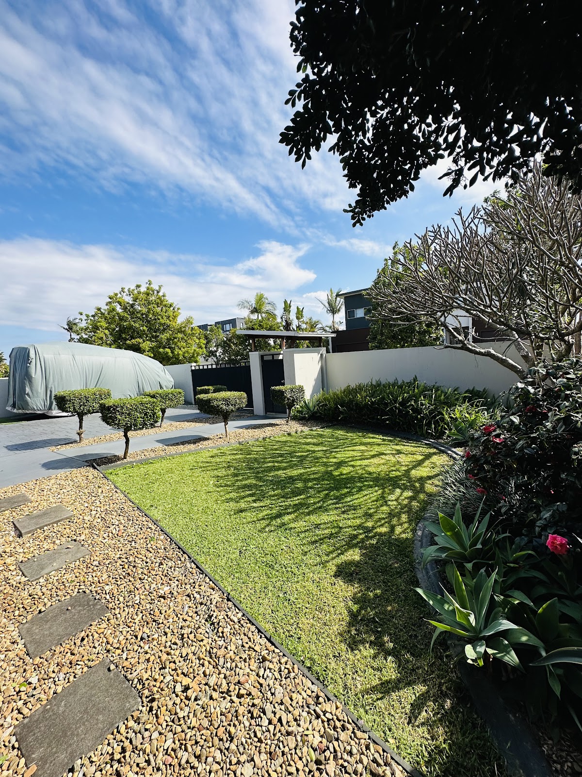 Modern front yard with topiary balls, lawn and gravel stepping stones