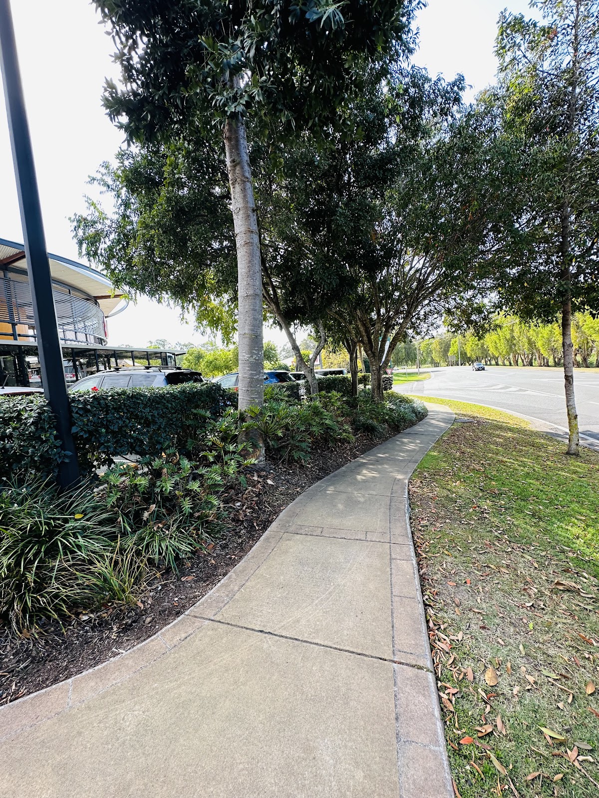 Neat garden beds along a commercial frontage and footpath