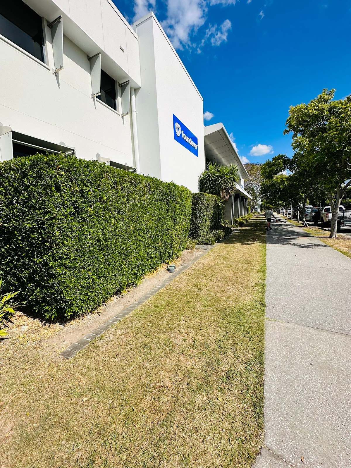 A clipped hedge running along an office building